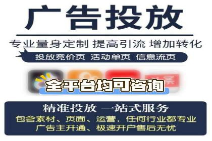 某知名企业SEM营销全案解析